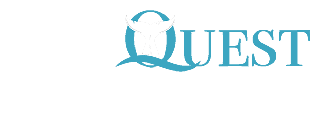 BayQuest. Conservation and Protection in and around the San Francisco Bay.
