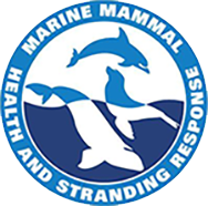 Logo for the NOAA Whale Response group. In the middle are silhouettes of a humpback, sea lion, and dolphin, encompassed by a ring of text that reads "Marine Mammal Health and Stranding Response"